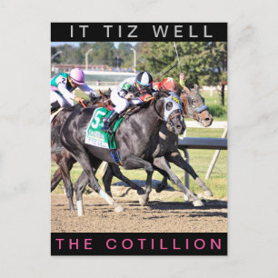 Carte Postale It Tiz Well - Le gagnant du Cotillion