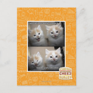 Carte Postale It was Fluffy