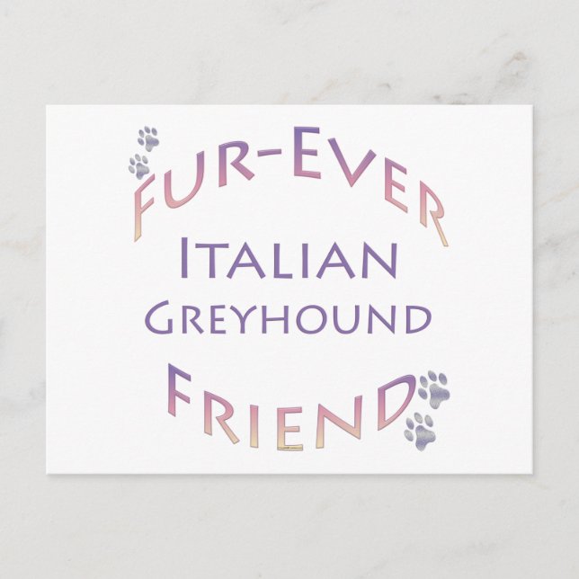 Carte Postale Italian Greyhound pour toujours (Devant)