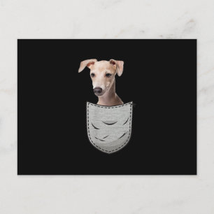 Carte Postale Italian Greyhound Whippet Chest Pocket For Dog Own