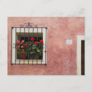 Carte Postale Italie, Asciano, Boîtes de fenêtres avec un printe