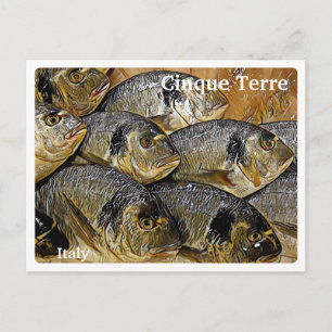 Carte Postale Italie CINQUE TERRE - daurade -