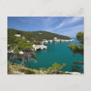 Carte Postale Italie, Pouilles, Promontoire du Gargano, Testa