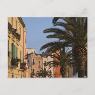 Carte Postale Italie, Sardaigne, Cagliari. Bâtiments et palmiers
