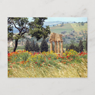 Carte Postale Italie, Sicile, Agrigente. Les ruines de la