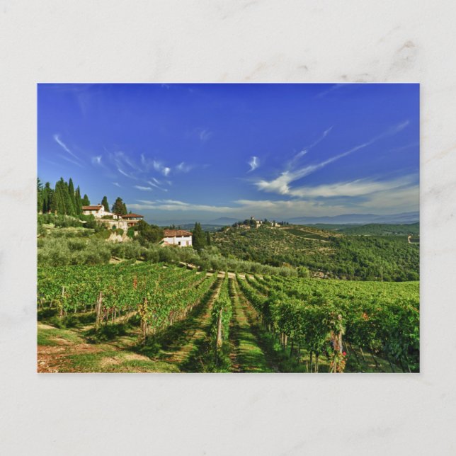 Carte Postale Italie, Toscane, Greve. Les vignobles du Castello (Devant)