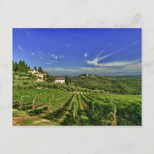 Carte Postale Italie, Toscane, Greve. Les vignobles du Castello