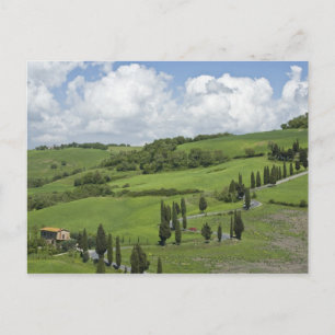 Carte Postale Italie, Toscane. La Foce. Une route courbe monte e