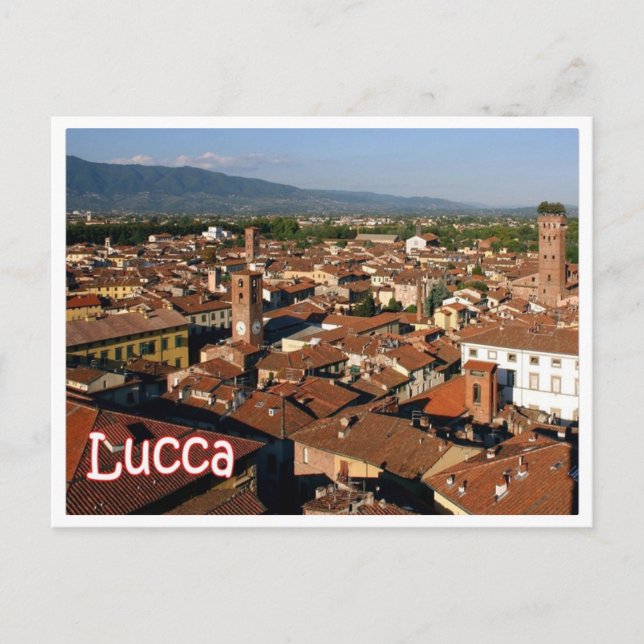 Carte Postale Italie - Toscane - Lucca - (Devant)