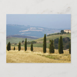 Carte Postale Italie. Toscane. Plaisance.