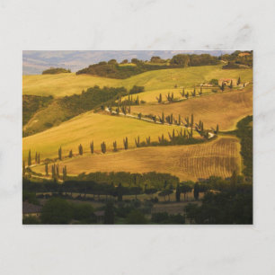 Carte Postale Italie, Toscane, route en zigzag en Toscane.