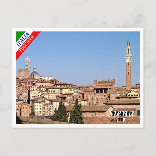 Carte Postale Italie - Toscane - Sienne - (Devant)