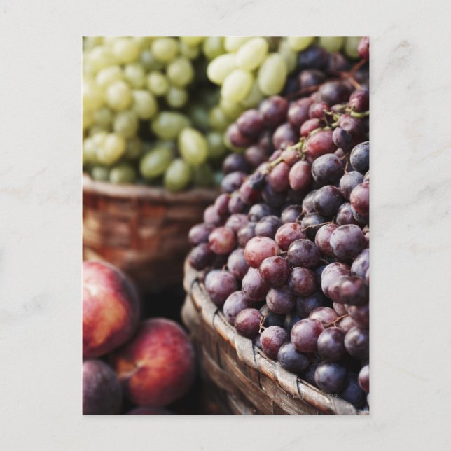 Carte Postale Italie, Toscane, Sienne 2 (Devant)