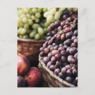 Carte Postale Italie, Toscane, Sienne 2