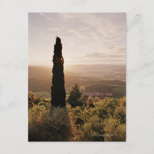 Carte Postale Italie, Toscane, Val d'Orcia, Montalcino