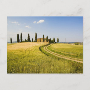 Carte Postale Italie, Toscane, Villa toscane proche de Harvest.