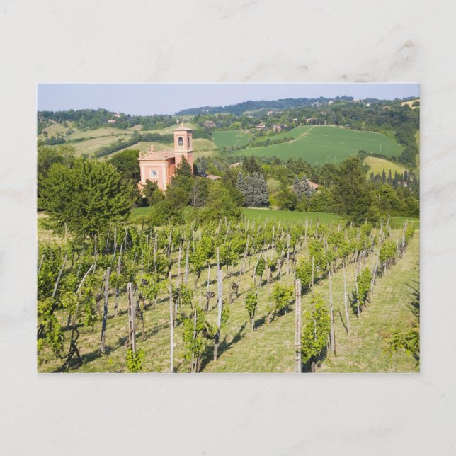 Carte Postale Italy, Bologna, View through Vineyard to Chiesa (Devant)