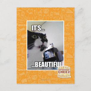 Carte Postale It's Beautiful