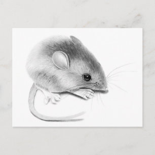Carte Postale Itty Bitty Mouse