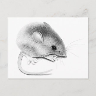 Carte Postale Itty Bitty Mouse