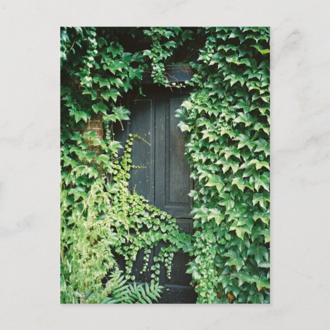 Carte Postale Ivy Door (Devant)