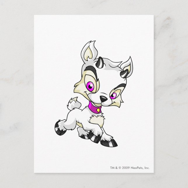 Carte Postale Ixi blanc (Devant)