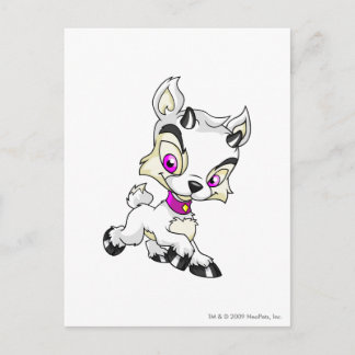 Carte Postale Ixi blanc