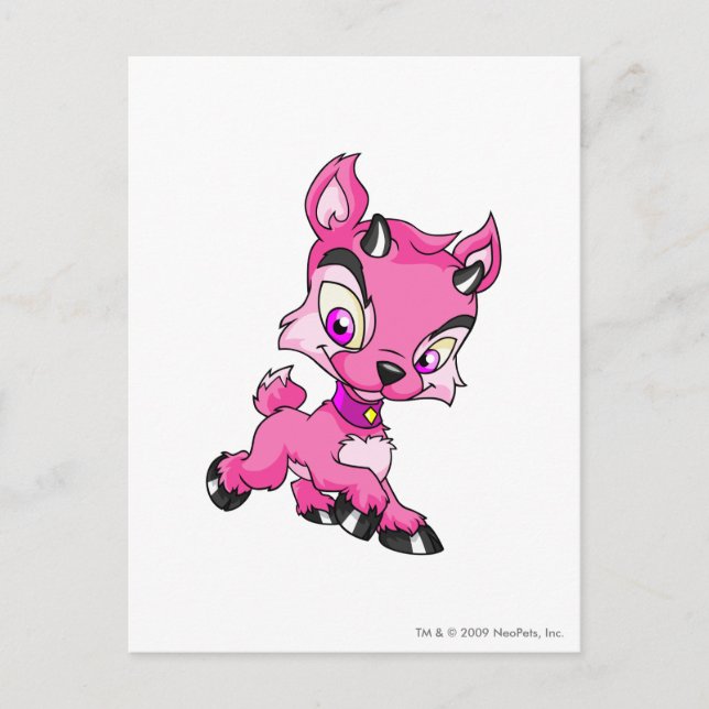Carte Postale Ixi rose (Devant)