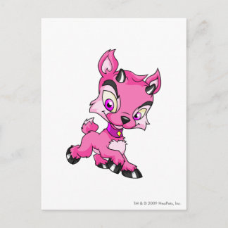 Carte Postale Ixi rose