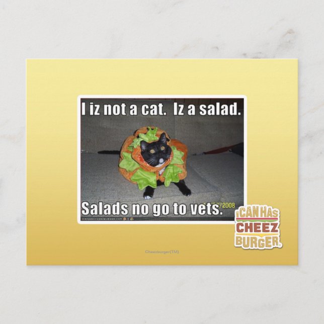 Carte Postale Iz I pas un chat. Iz une salade (Devant)