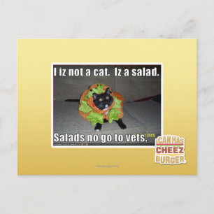 Carte Postale Iz I pas un chat. Iz une salade