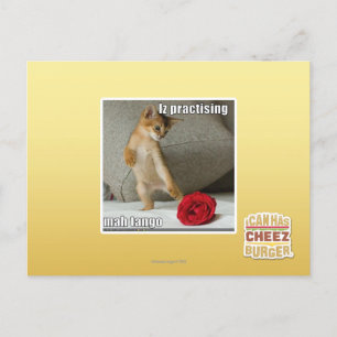 Carte Postale Iz pratiquant le tango d'heure-milliampère