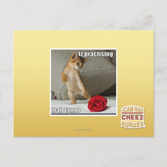 Carte Postale Iz pratiquant le tango d'heure-milliampère (Devant)