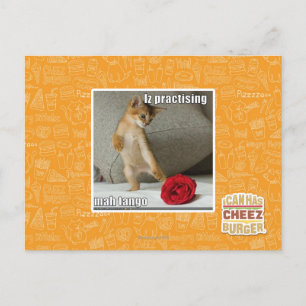 Carte Postale Iz pratiquant le tango d'heure-milliampère