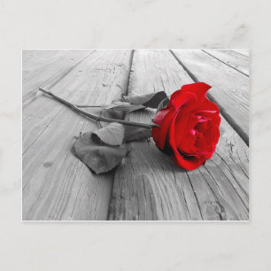 Carte Postale j0440294