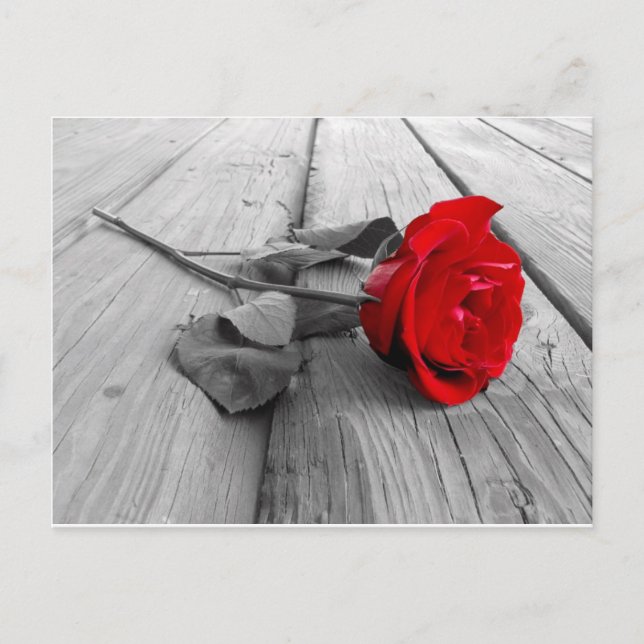 Carte Postale j0440294 (Devant)