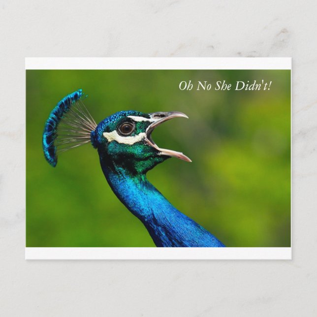 Carte Postale j0441090, Les papillons sont libres, Oh non, elle  (Devant)