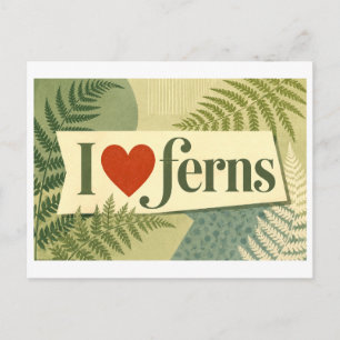 Carte Postale "J'[aime] les fougères"