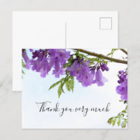 Jacaranda Purple Flowers Australie sur l'arbre