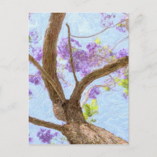 Carte Postale Jacaranda Tree (Devant)