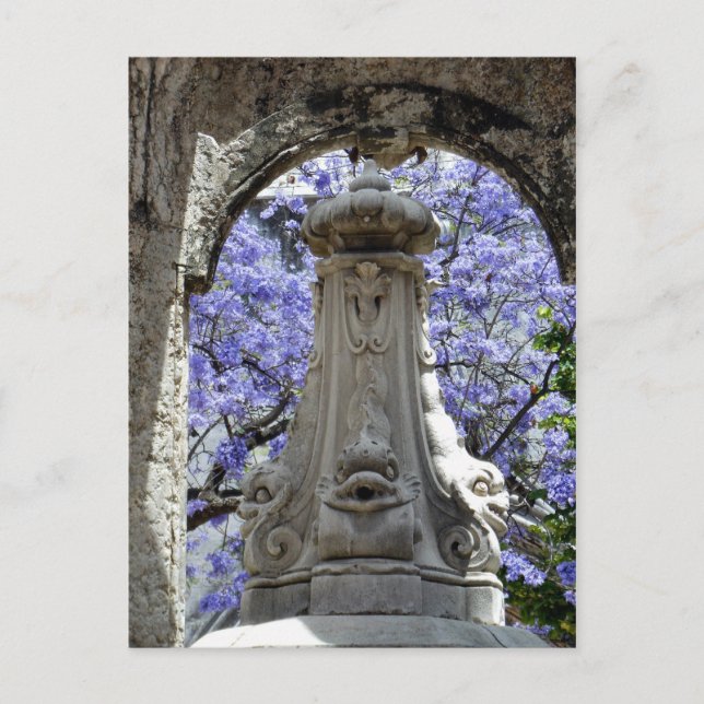 Carte Postale Jacarandi (Devant)