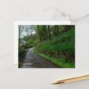 Carte Postale Jacinthes des bois sur Eastwood Lane