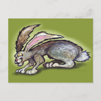 Carte Postale Jack Rabbit