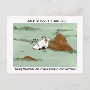 Carte Postale Jack Russell Terrier
