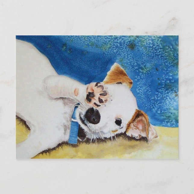 Carte postale Jack Russell Terrier (Devant)