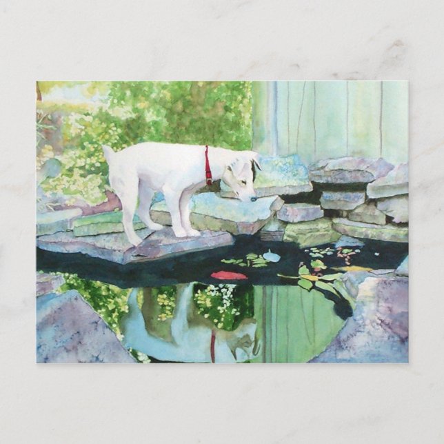 Carte postale Jack Russell Terrier #1 (Devant)