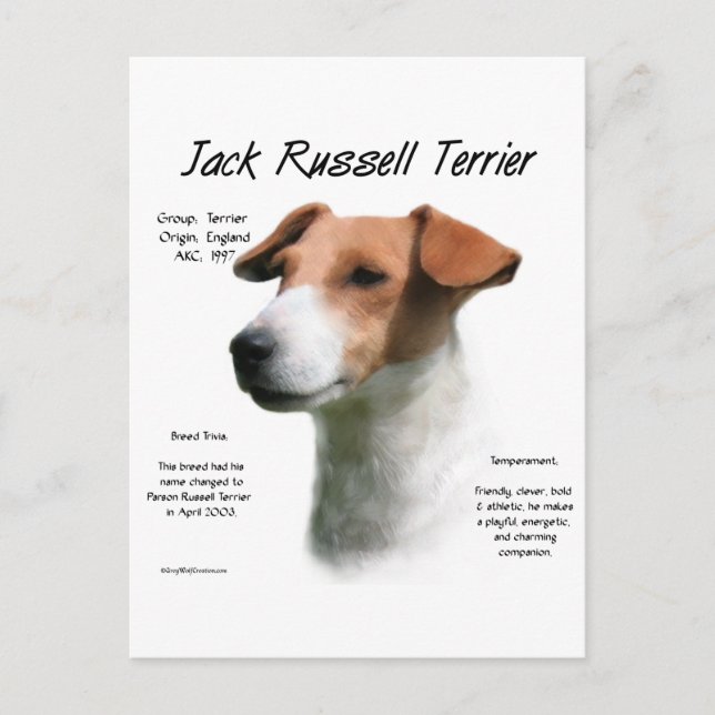 Carte Postale Jack Russell Terrier Histoire (Devant)