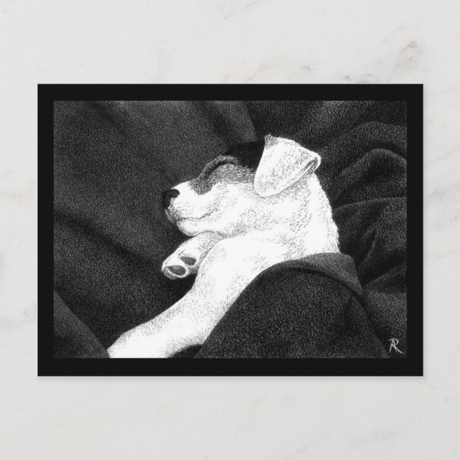 Carte postale Jack Russell Terrier Pup - "Bliss" (Devant)