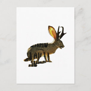 Carte Postale Jackalope
