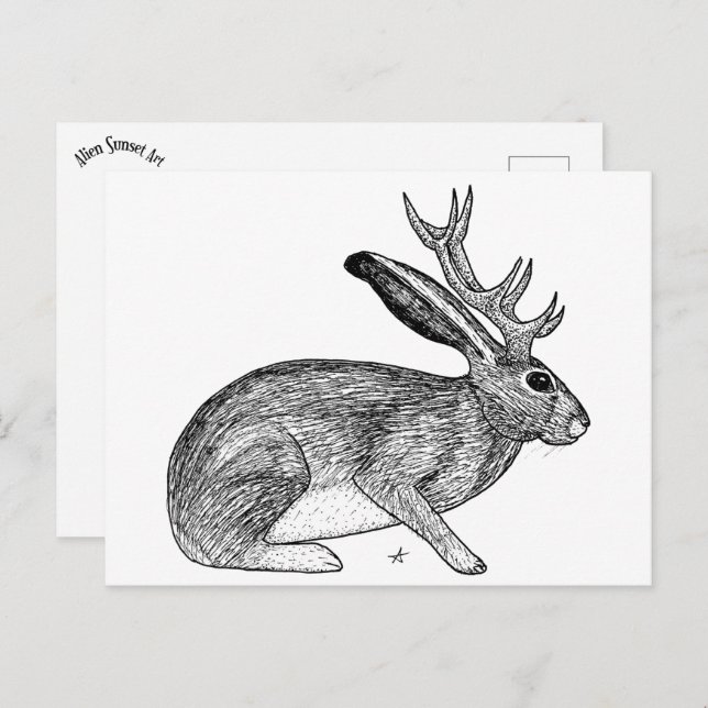 Carte Postale Jackalope (Devant / Derrière)